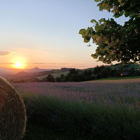 Agriturismo La Casetta - Ospitalita Rurale Familiare Montese Εξωτερικό φωτογραφία