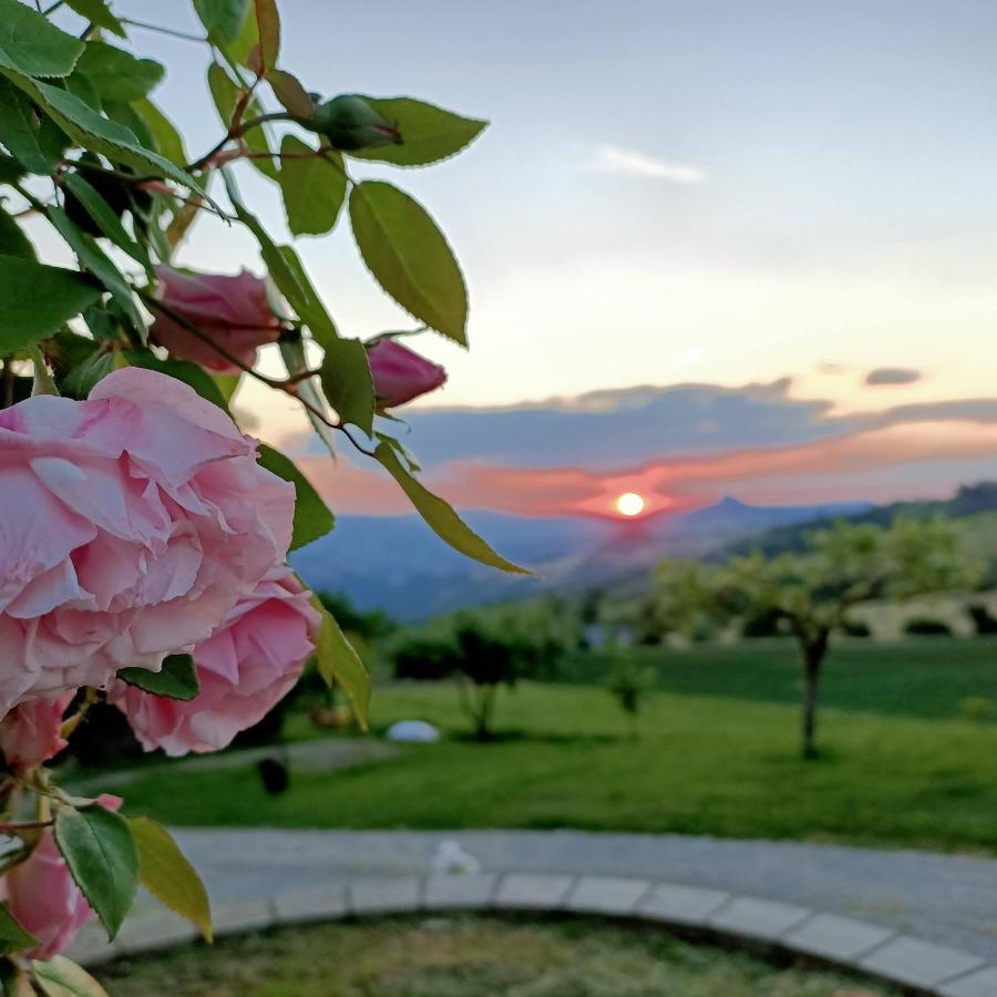 Agriturismo La Casetta - Ospitalita Rurale Familiare Montese Εξωτερικό φωτογραφία