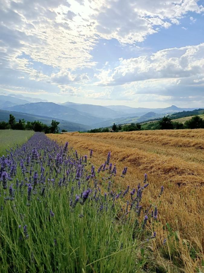 Agriturismo La Casetta - Ospitalita Rurale Familiare Montese Εξωτερικό φωτογραφία