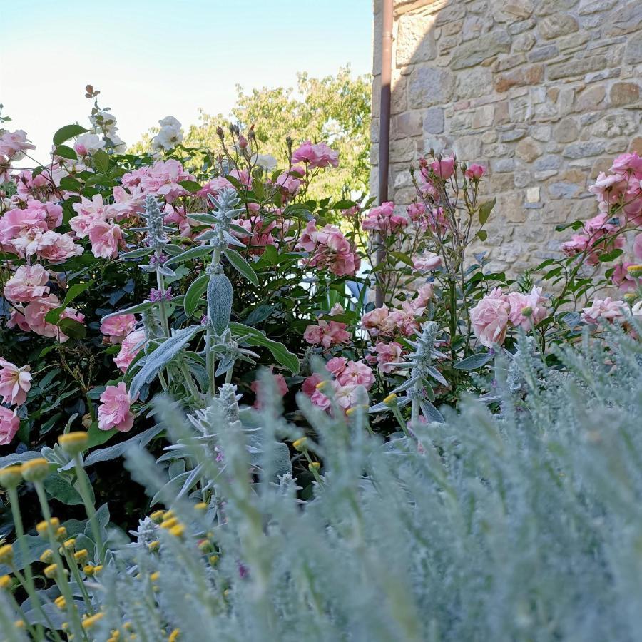 Agriturismo La Casetta - Ospitalita Rurale Familiare Montese Εξωτερικό φωτογραφία